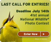 Last call for entries to the 2011 National Wildlife Photo Contest!